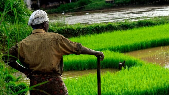 microbax_field_sales_solution_fertilizer_company